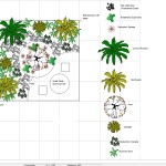 Tropical Garden design